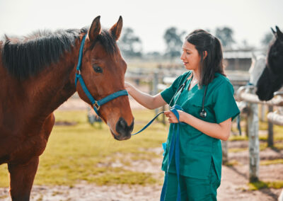 Payroll and HR technology selection for global veterinary services group