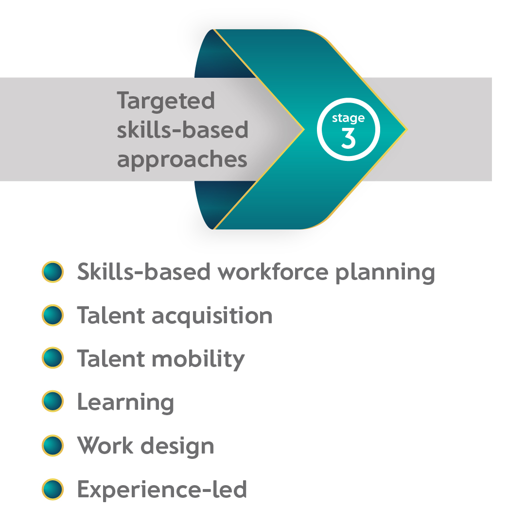 stage 3 - Start guide to build skills-based organisation